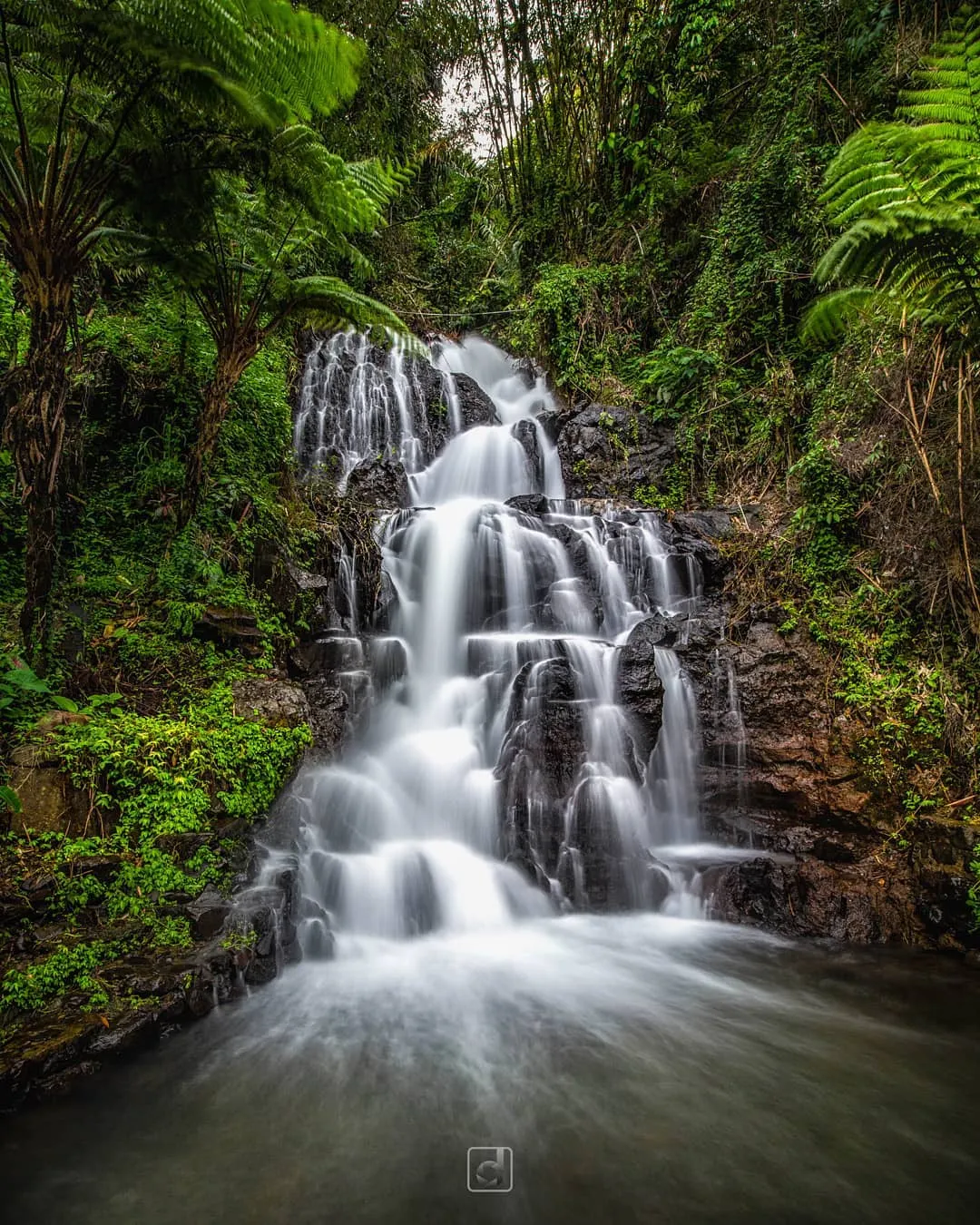 didik_putradiJembong-WaterfallAmbenganBuleleng