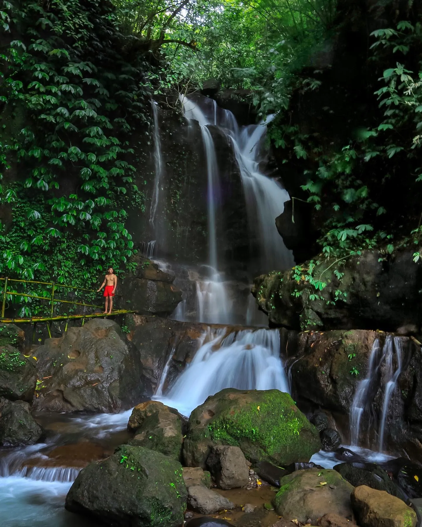 modernnmowgliKarangasem-Bali